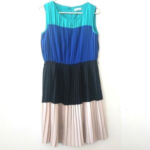 Calvin Klein Colorblock Pleated Dress